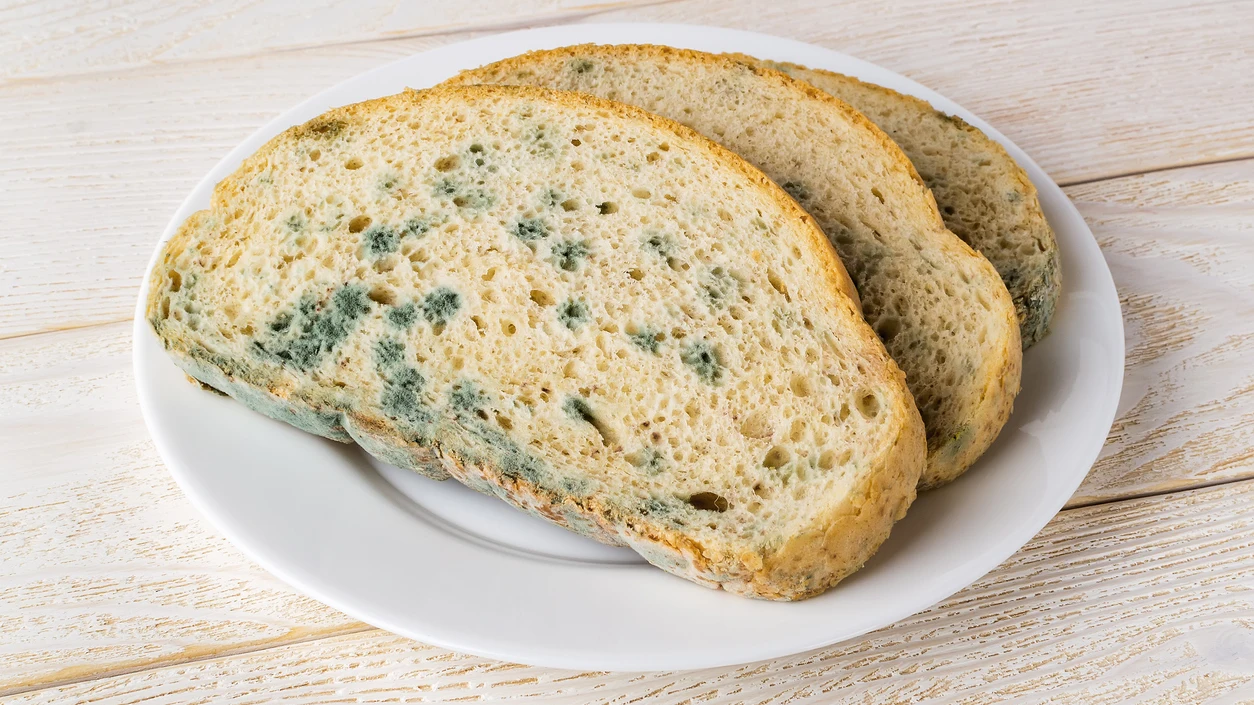 Pan de molde con moho