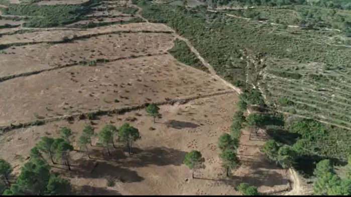 Paisajes mosaico