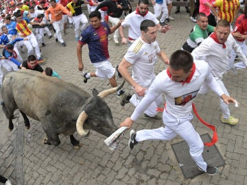 Los toros del séptimo encierro de San Fermín 2024