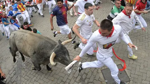 Los toros del séptimo encierro de San Fermín 2024 Los toros del séptimo encierro de San Fermín 2024