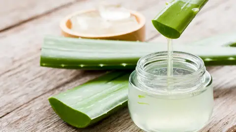 Aloe Vera Aloe Vera