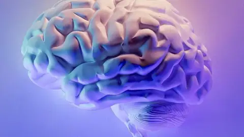 Un cerebro Detección precoz de la demencia con inteligencia artificial