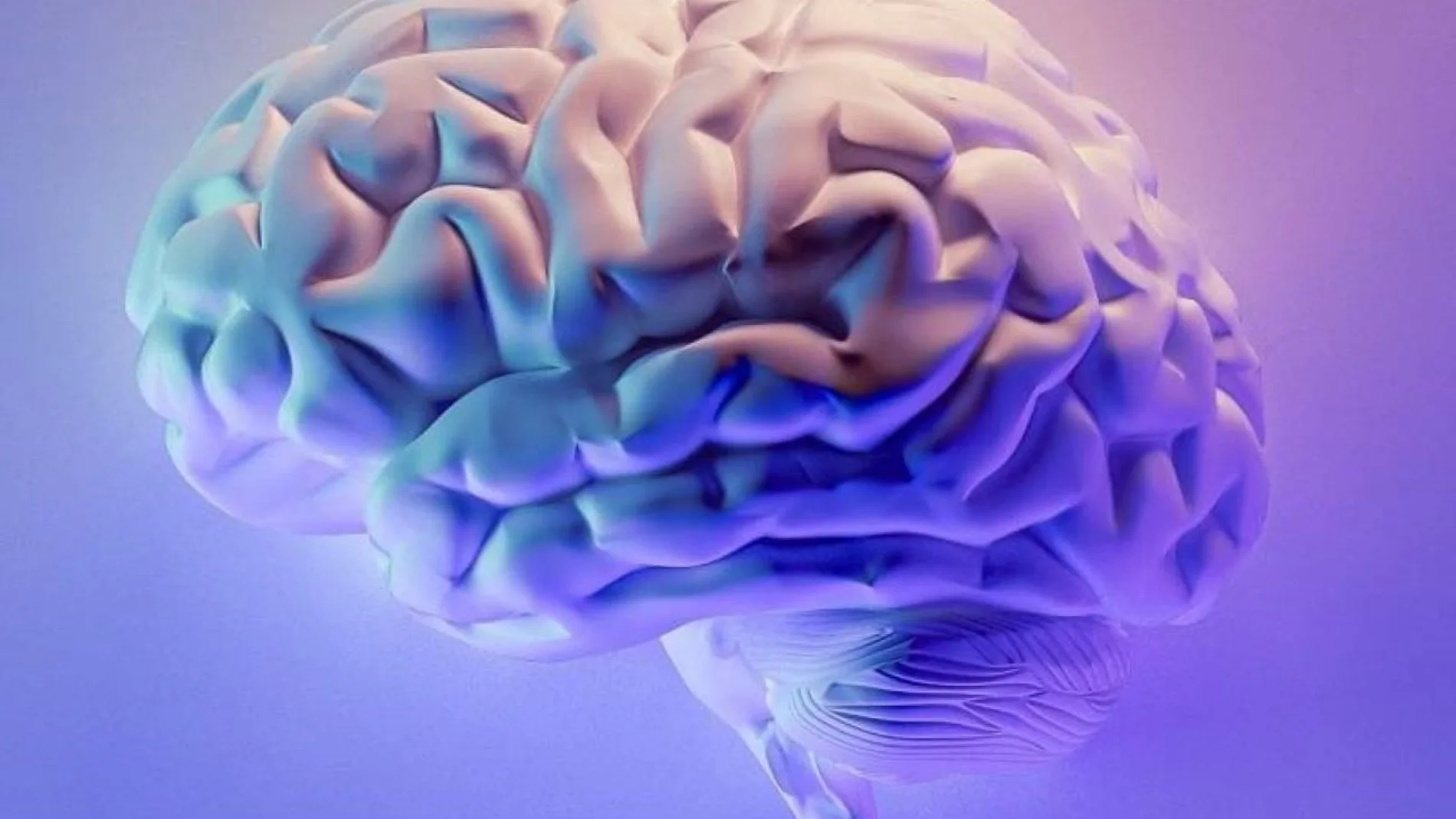 Un cerebro Un cerebro