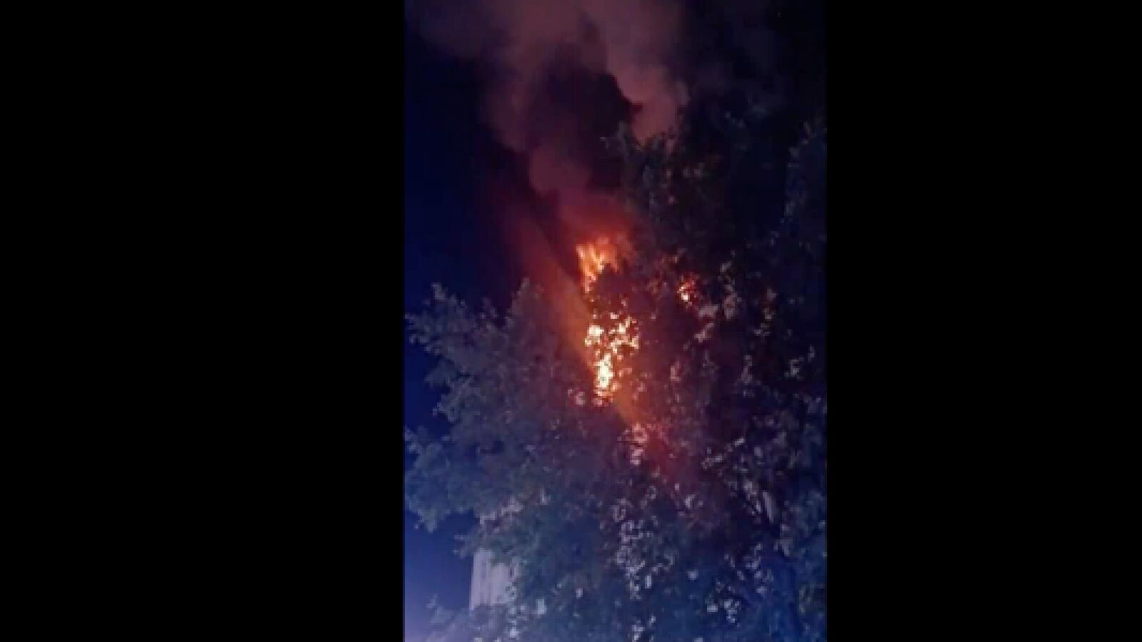 Al menos 7 muertos, 3 niños entre ellos, en un incendio en Niza