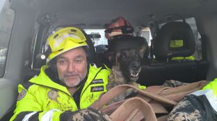Piden ayuda para llevar perros especializados en localizar cad&aacute;veres a Valencia