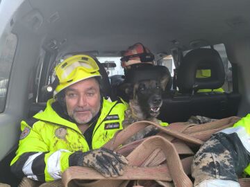 Piden ayuda para llevar perros especializados en localizar cadáveres a Valencia