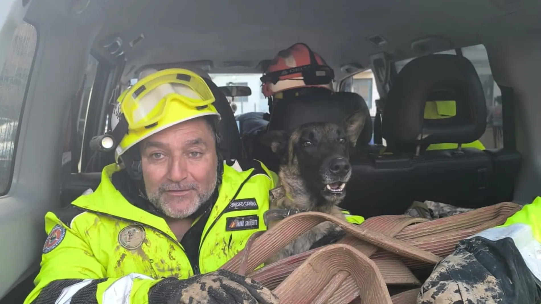Piden ayuda para llevar perros especializados en localizar cadáveres a Valencia Piden ayuda para llevar perros especializados en localizar cadáveres a Valencia