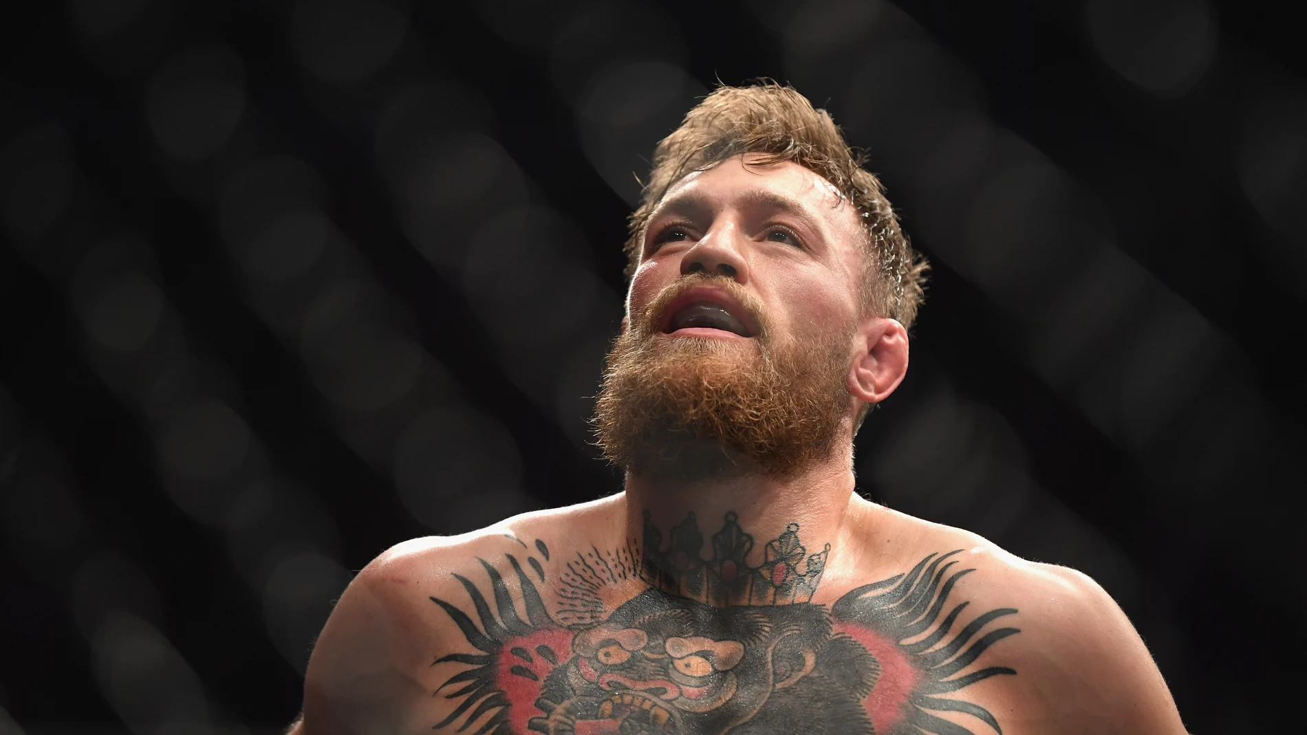 Conor McGregor en 2018 Conor McGregor en 2018