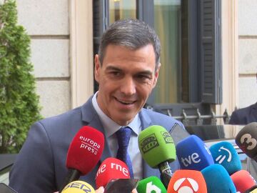 Pedro Sánchez en el Patio del Congreso