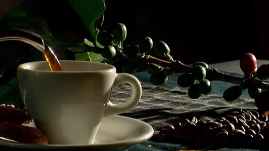 El precio del café se va a disparar El precio del café se va a disparar