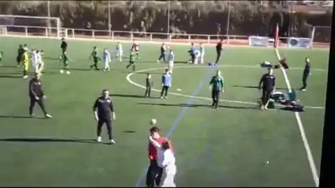 Una madre irrumpe en un partido de alevines en Granada y propina una bofetada al árbitro Una madre irrumpe en un partido de alevines en Granada y propina una bofetada al árbitro