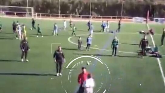 Agresi&oacute;n en el campo