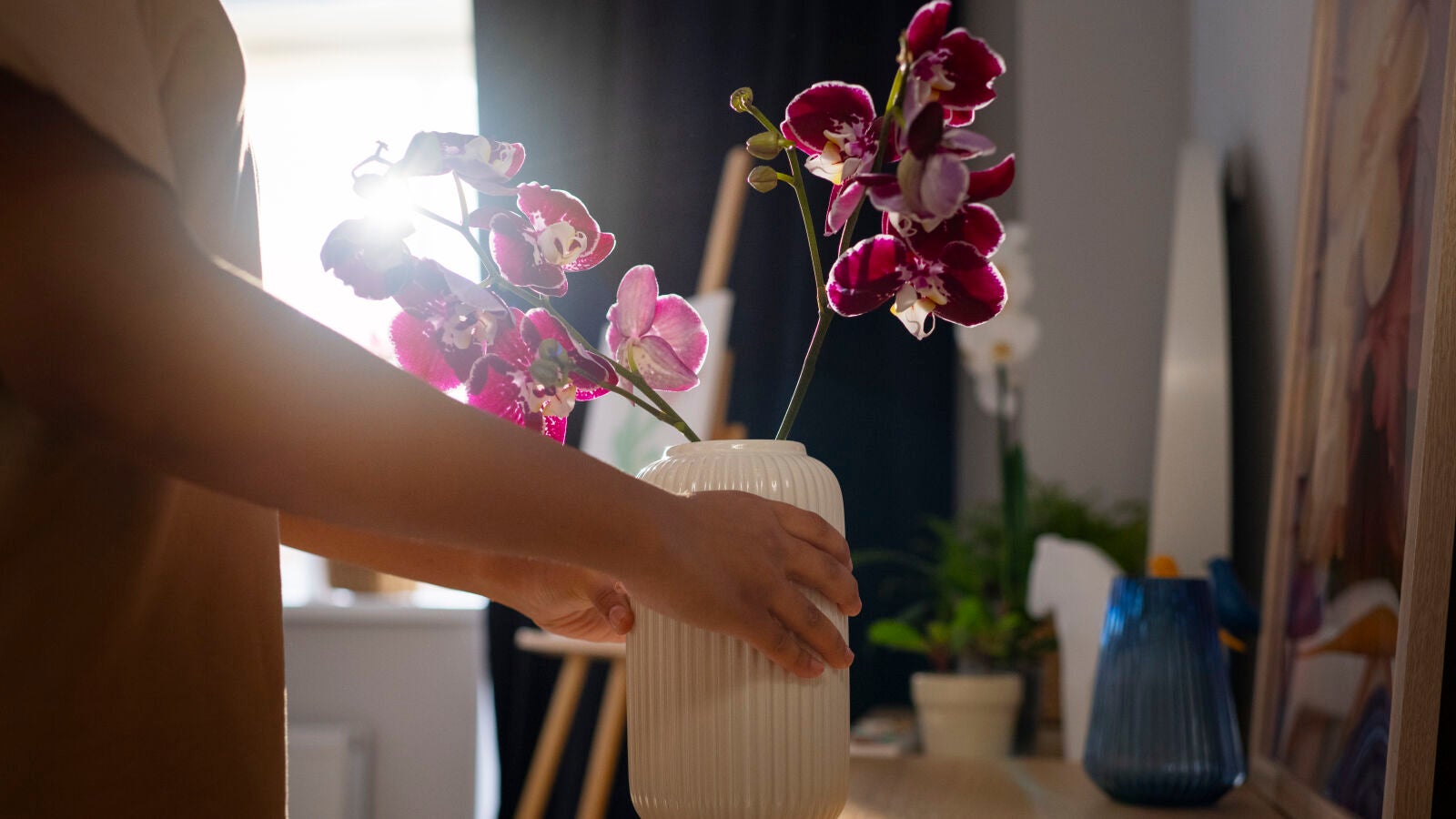 Decora tu casa con los descuentos de Black Friday de Amazon