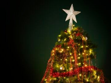 &Aacute;rbol de Navidad
