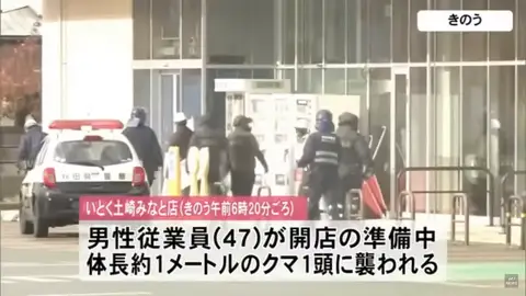 Dispositivo seguridad Dispositivo seguridad