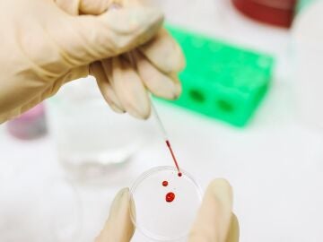 Imagen de archivo de una muestra de sangre y ADN