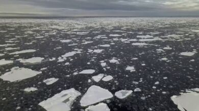 Un estudio predice el peor de los pronósticos: el hielo del Polo Norte podría derretirse antes de 2027
