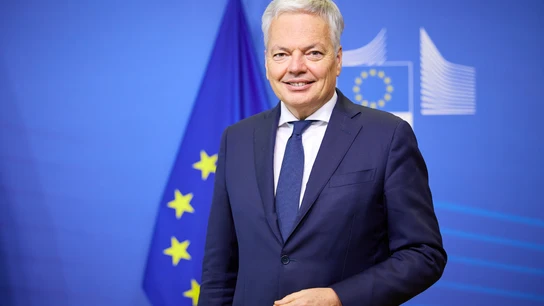 Investigan al excomisario europeo Reynders por blanqueo de dinero Investigan al excomisario europeo Reynders por blanqueo de dinero