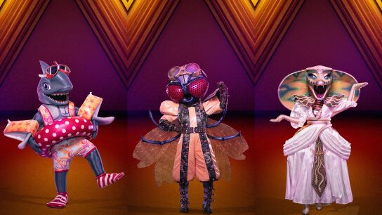 Cobra, Mosca y Tibur&oacute;n se disputar&aacute;n la m&aacute;scara de oro en la Gran Final de Mask Singer