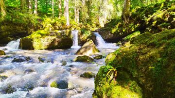 Arroyo de un río