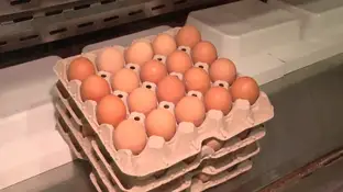 Huevos Huevos
