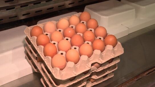 Huevos