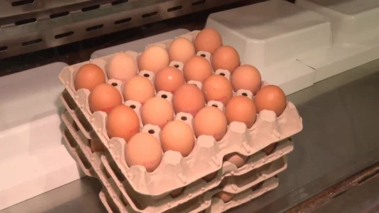 Huevos Huevos