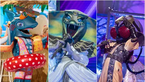 ¿Quiénes serán Mosca, Cobra y Tiburón? Las últimas teorías de las máscaras finalistas de Mask Singer ¿Quiénes serán Mosca, Cobra y Tiburón? Las últimas teorías de las máscaras finalistas de Mask Singer