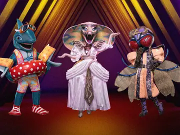 La Gran Final de Mask Singer: Mosca, Tiburón y Cobra se enfrentan por la máscara dorada La Gran Final de Mask Singer: Mosca, Tiburón y Cobra se enfrentan por la máscara dorada