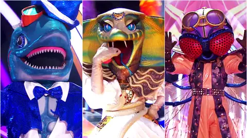 Gran Final de Mask Singer entre Tiburón, Cobra y Mosca: conoce este miércoles sus identidades... ¡y el vencedor! Gran Final de Mask Singer entre Tiburón, Cobra y Mosca: conoce este miércoles sus identidades... ¡y el vencedor!