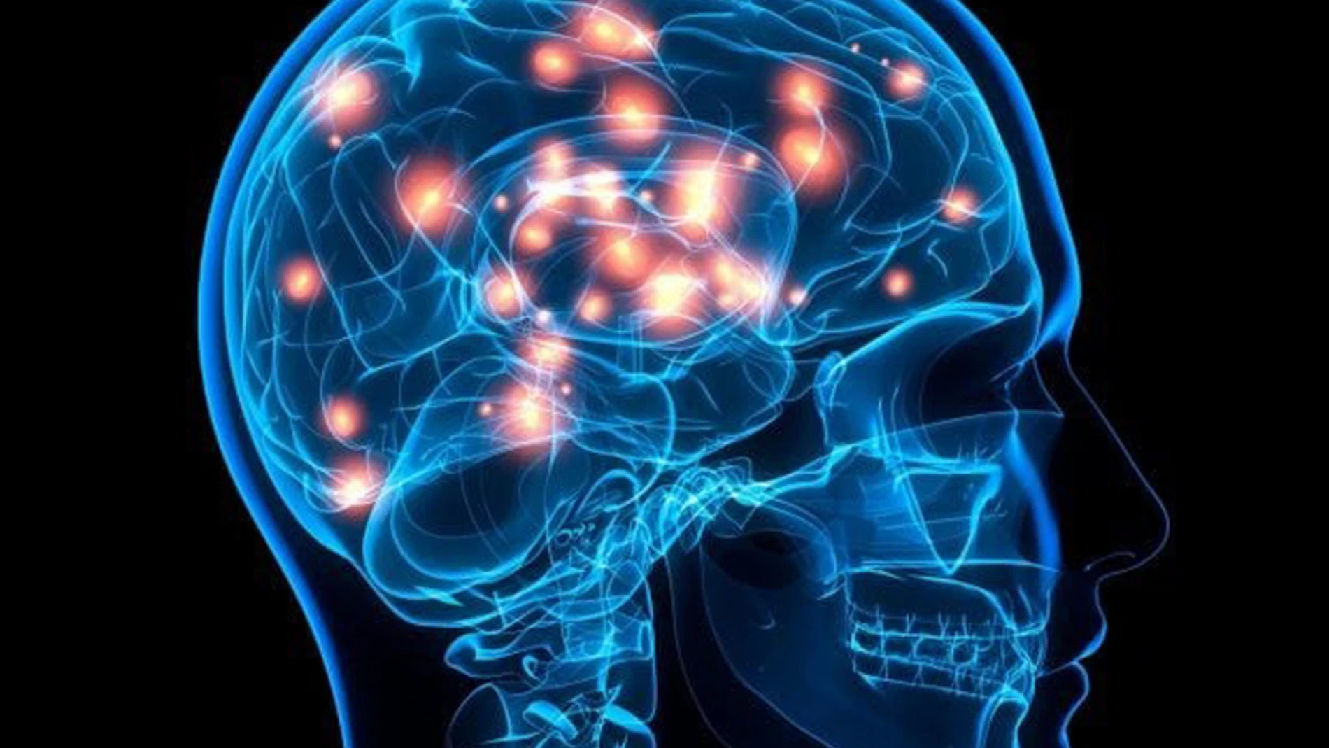 La dopamina está asociada con procesos como la motivación y el refuerzo La dopamina está asociada con procesos como la motivación y el refuerzo