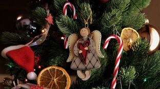 &Aacute;rbol de navidad decorado