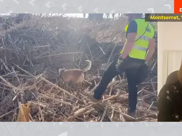 Tres desaparecidos por la DANA. Tres desaparecidos por la DANA.