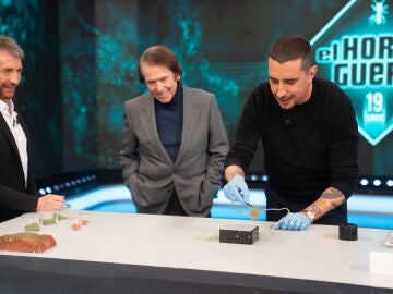 Flocado: la t&eacute;cnica decorativa que ha dejado perplejo a Raphael