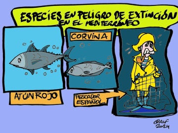 Pescar en tiempos de cambio: el acuerdo que redefine la sostenibilidad en el Atlántico y Mediterráneo, en la viñeta gráfica 