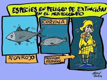 Pescar en tiempos de cambio: el acuerdo que redefine la sostenibilidad en el Atlántico y Mediterráneo, en la viñeta gráfica Pescar en tiempos de cambio: el acuerdo que redefine la sostenibilidad en el Atlántico y Mediterráneo, en la viñeta gráfica