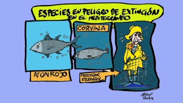 Pescar en tiempos de cambio: el acuerdo que redefine la sostenibilidad en el Atlántico y Mediterráneo, en la viñeta gráfica 