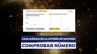 Comprobador de la Loter&iacute;a de Navidad 2024