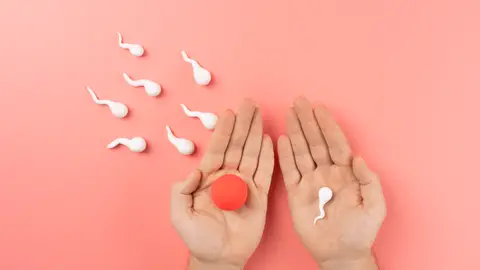 Fertilidad Fertilidad