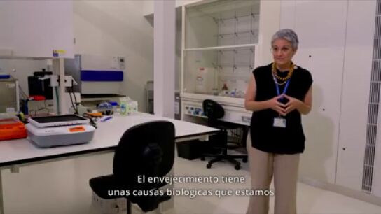 Por qu&eacute; investigar el envejecimiento es crucial para el futuro de la salud global