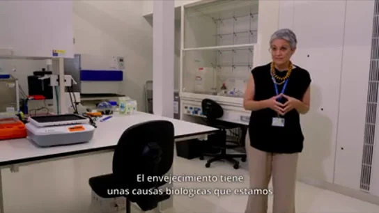 Por qué investigar el envejecimiento es crucial para el futuro de la salud global Por qué investigar el envejecimiento es crucial para el futuro de la salud global