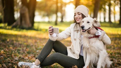 Leonor, Taylor, Nadal y Gazpacho, entre los nombres de perro que más han triunfado en 2024 