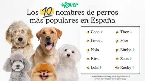 Nombres de perro 2024 Nombres de perro 2024