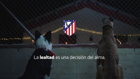'Comandante y Cart&oacute;n': el emotivo v&iacute;deo de Navidad del Atl&eacute;tico de Madrid