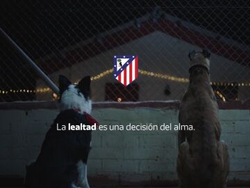 'Comandante y Cartón': el emotivo vídeo de Navidad del Atlético de Madrid