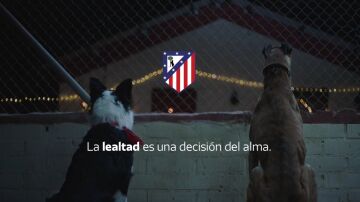 'Comandante y Cartón': el emotivo vídeo de Navidad del Atlético de Madrid