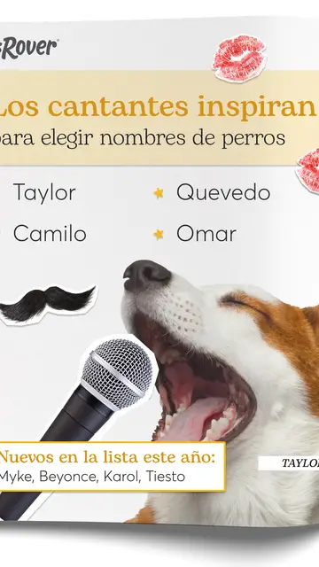 Nombres de perro Nombres de perro