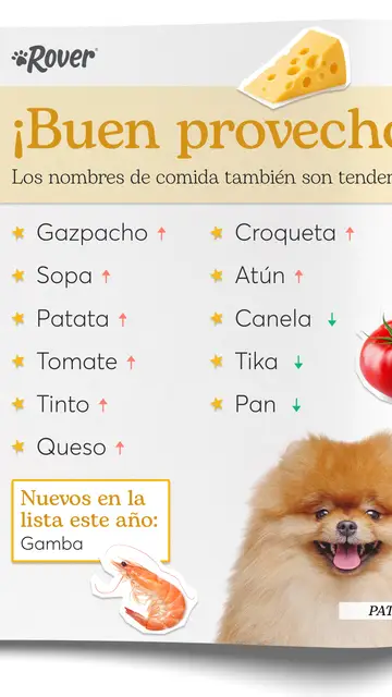 Nombres de perro más puestos Nombres de perro más puestos