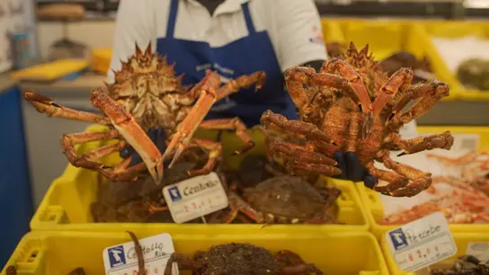 Mercado Mercado
