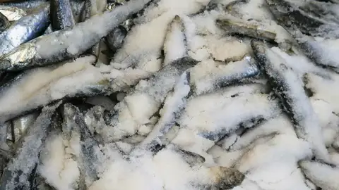 Imagen de marisco congelado Imagen de marisco congelado